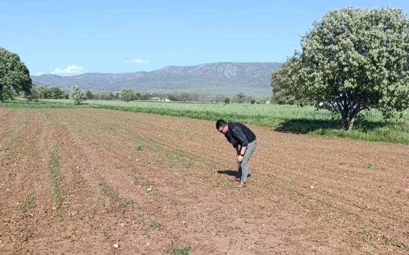 Sivaslı Tarım (1)-1