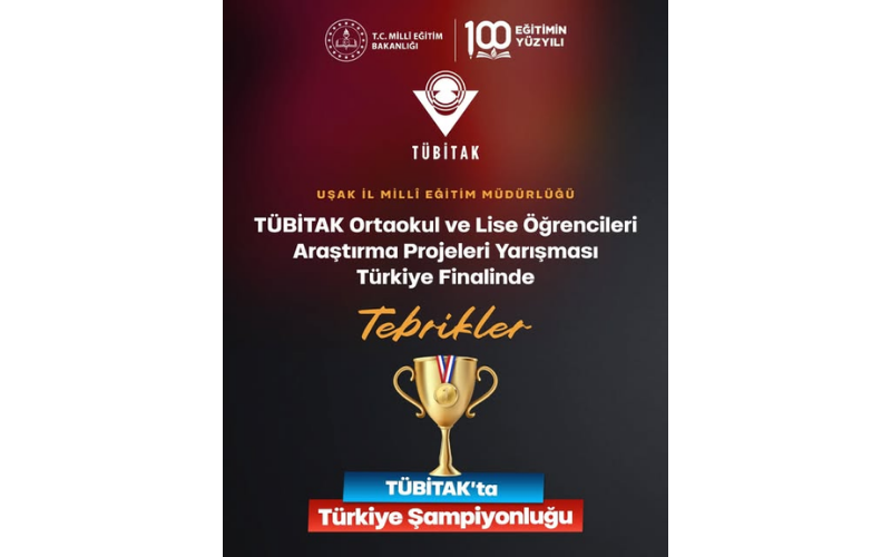 Tüb İi̇2