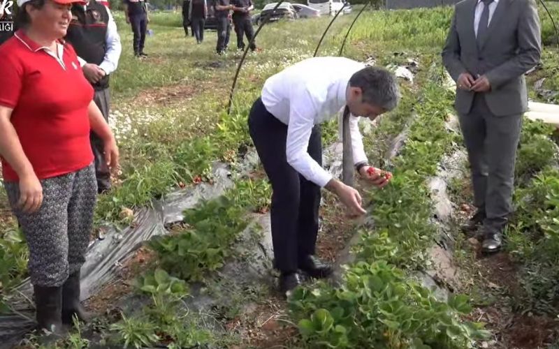 V A L İ Ç İ L E K