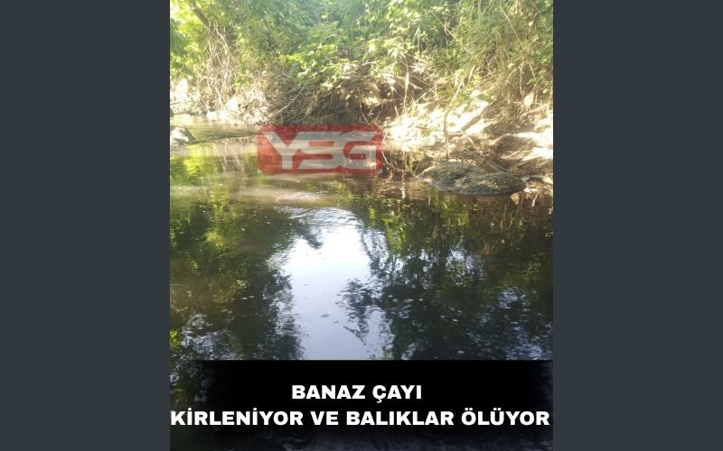 Banaz Çayi 1 (1)
