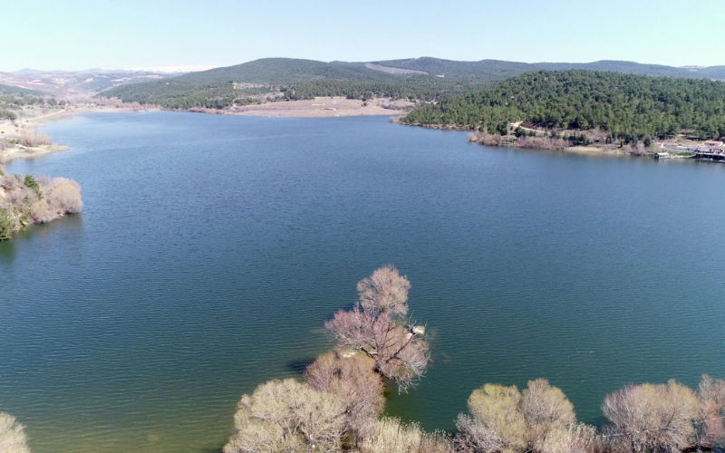 Göğem