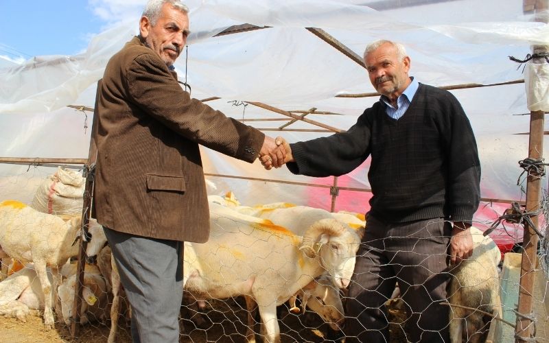 Kurban 1