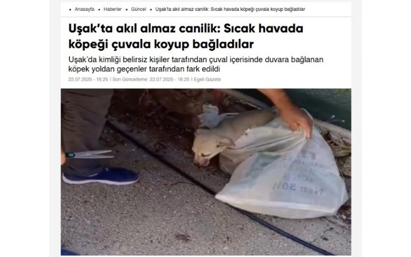 Egeli Gazete