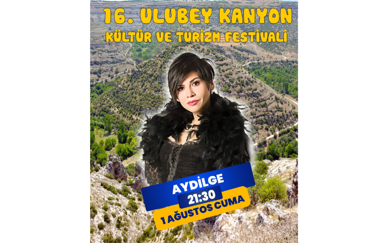 Fest 1