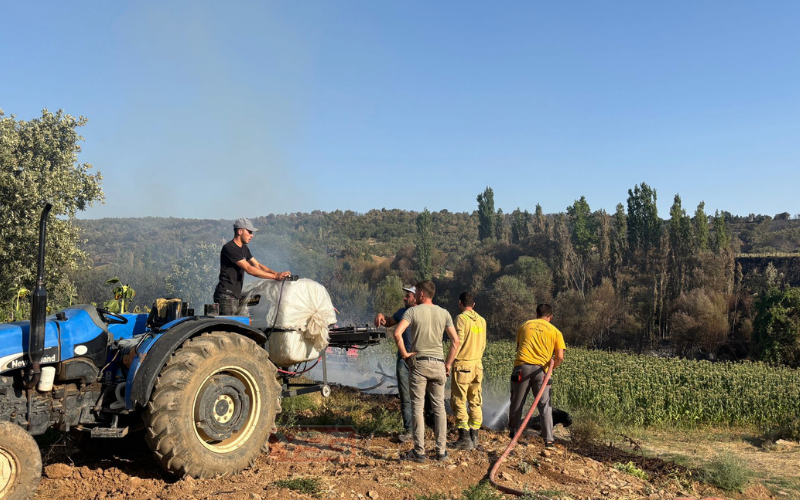 Ketenlik Yangın115