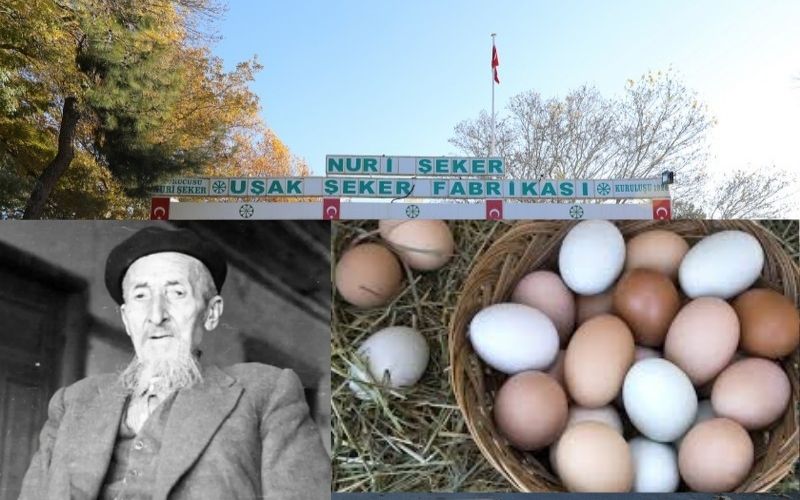 Nuri̇şeker (1)