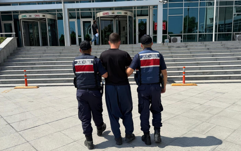 Orman Yangını 26