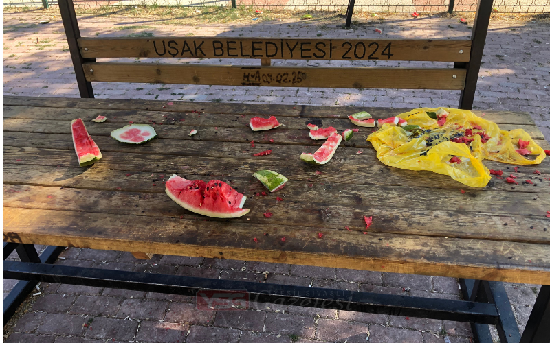 Park Kirliliği 1
