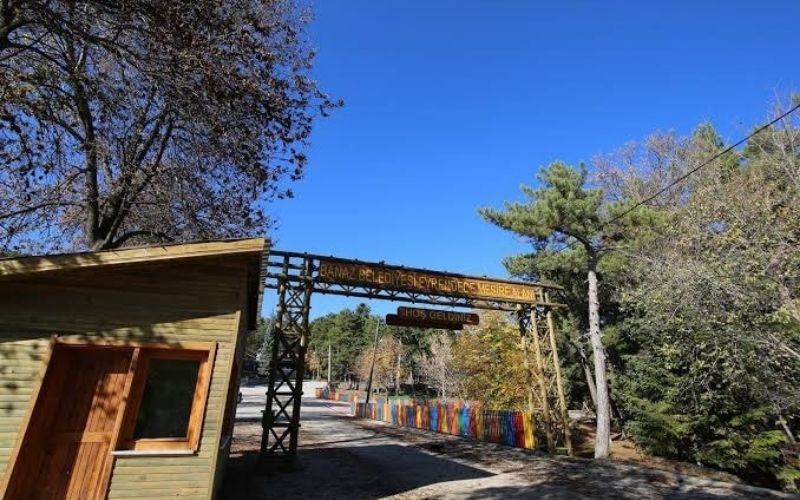 Piknikalanı