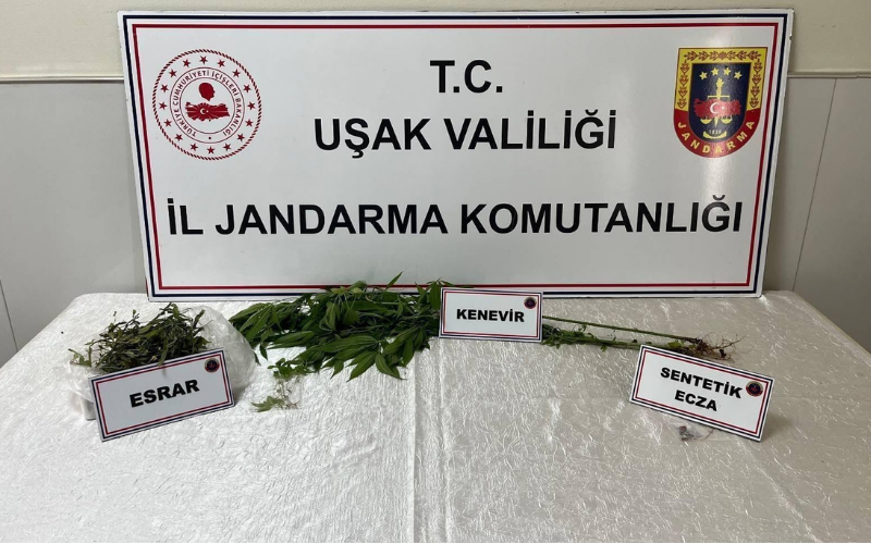 Uyyuuşturucu Durumu