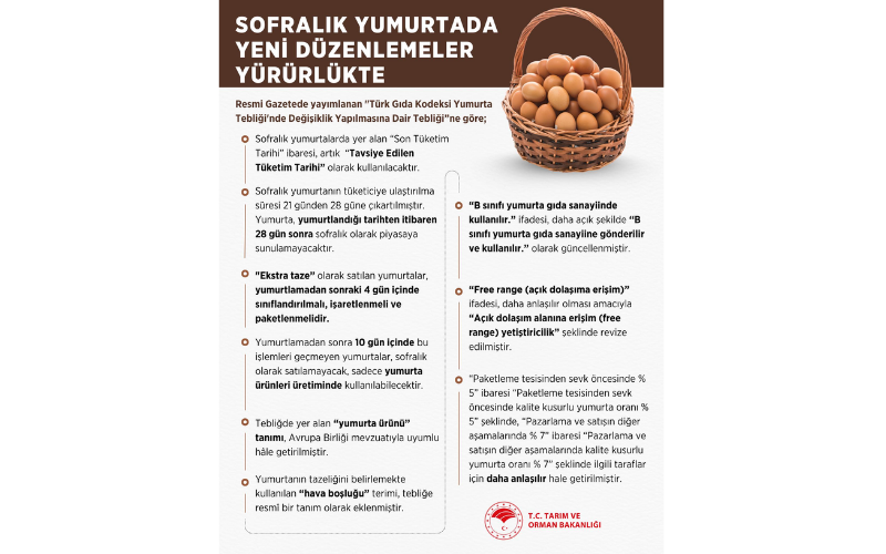 Yumurta Düzenleme