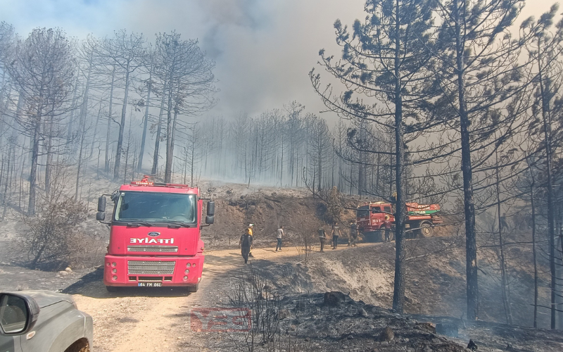 Banaz Yangını Yeni1
