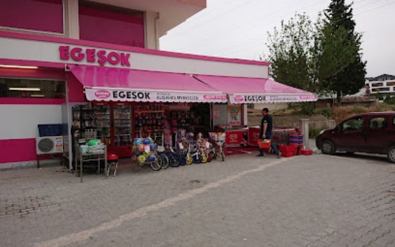 E G E Ş O K 1