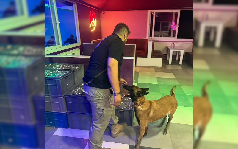 Eşme Dedektör