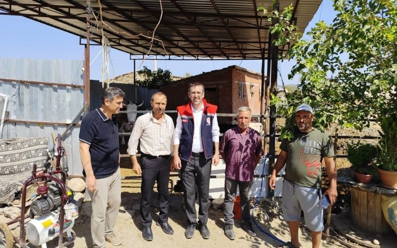 Zeytin 1