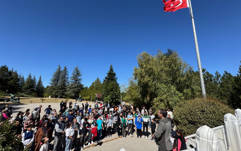 Gezi (1)