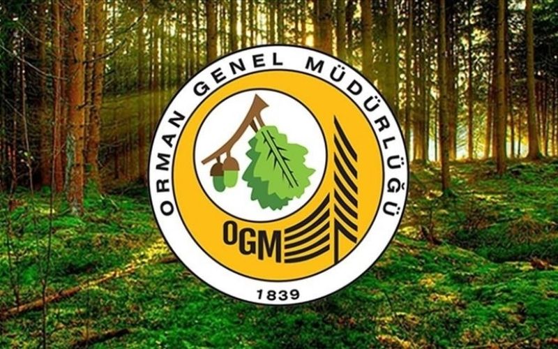 O G M