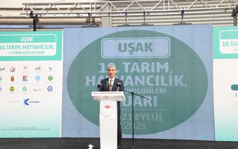 V A L İ İ