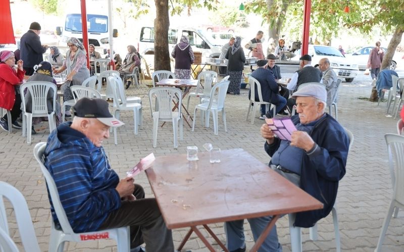 Insanhakalrı 1