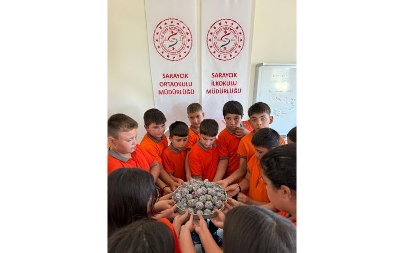 Saraycık 1 (1)