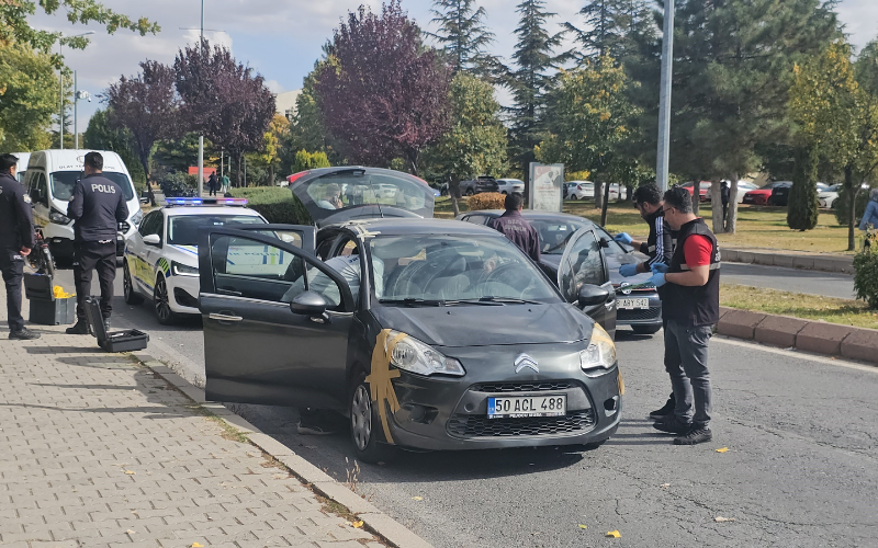 Üni Cinayet 2