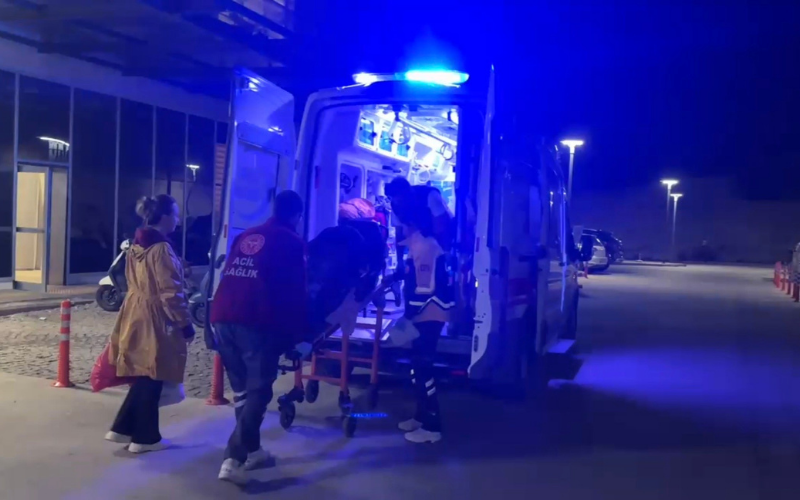 Yeni Doğan 1