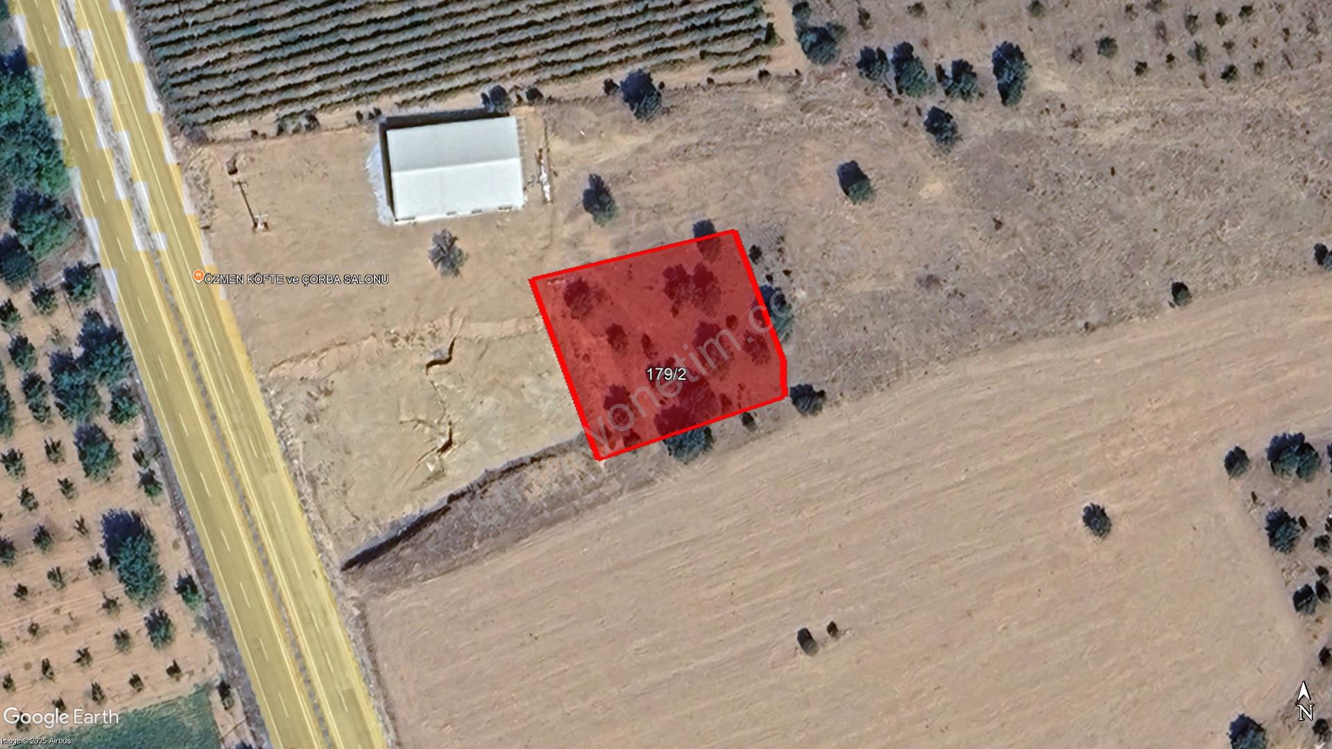 Toki Arsa Dedeballar