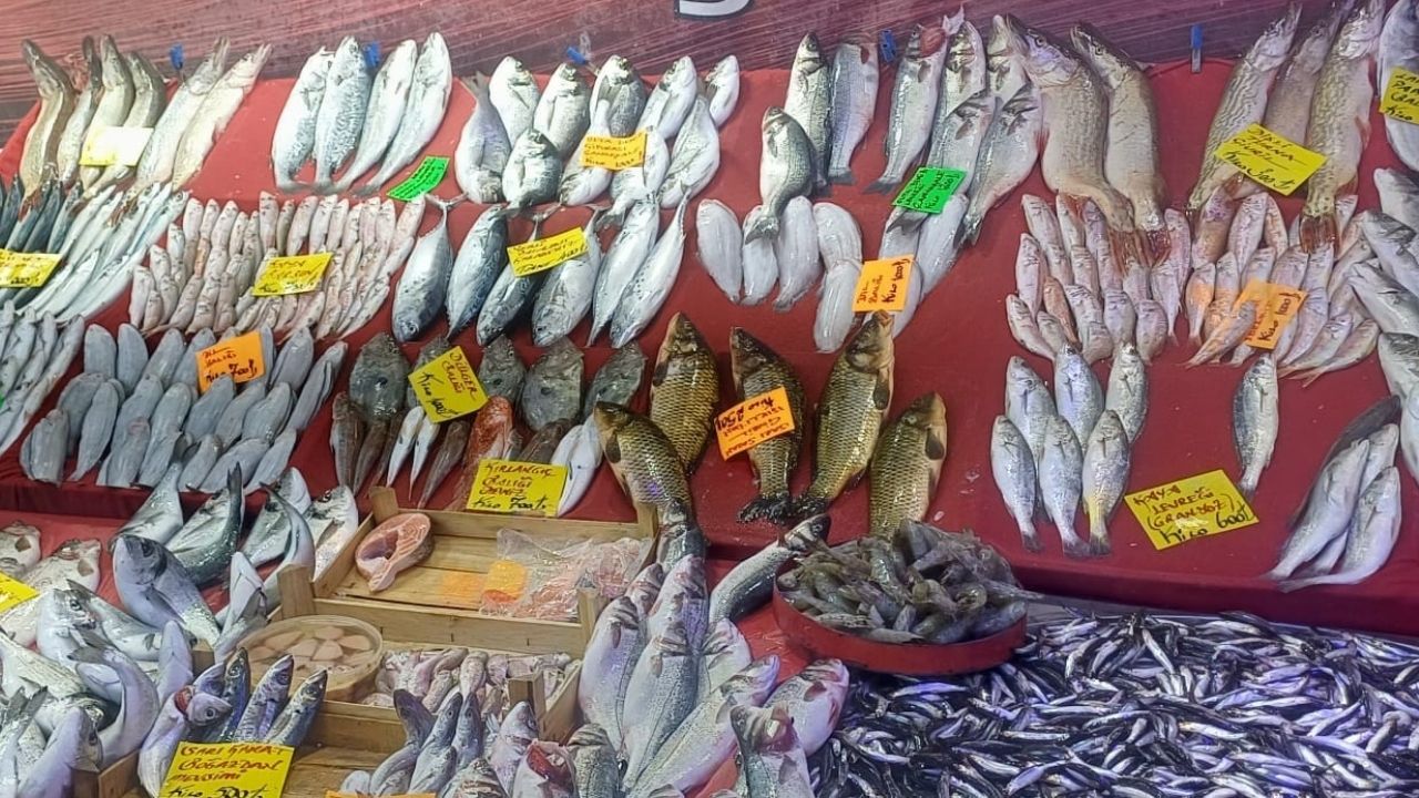 Yılbaşıbalık 1 (1)