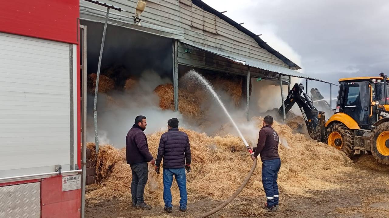 Besihane Yangın (1)