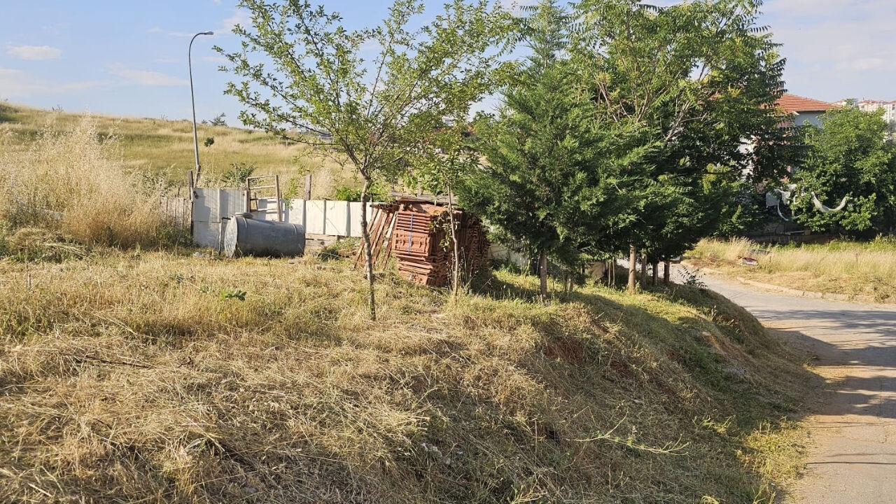 Boş Arazi