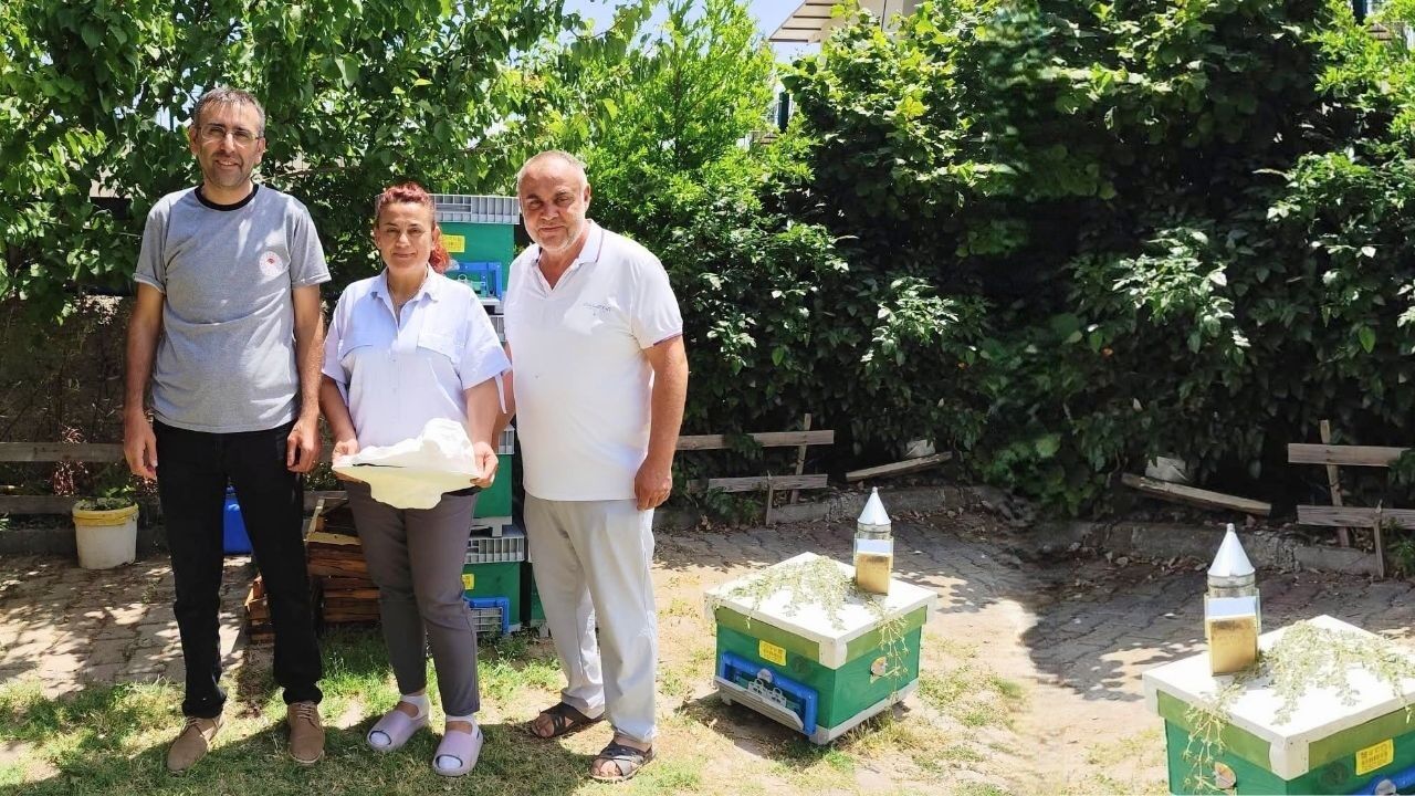 Arıcı