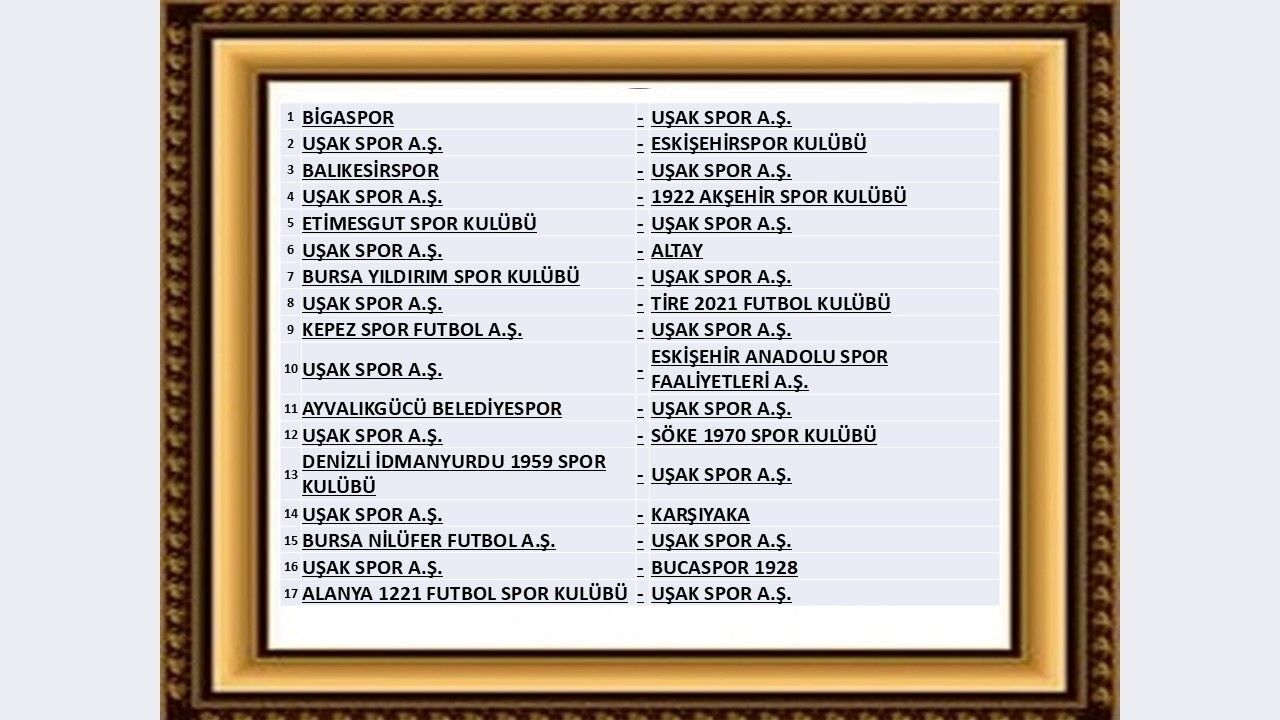 Uşakspormaçı