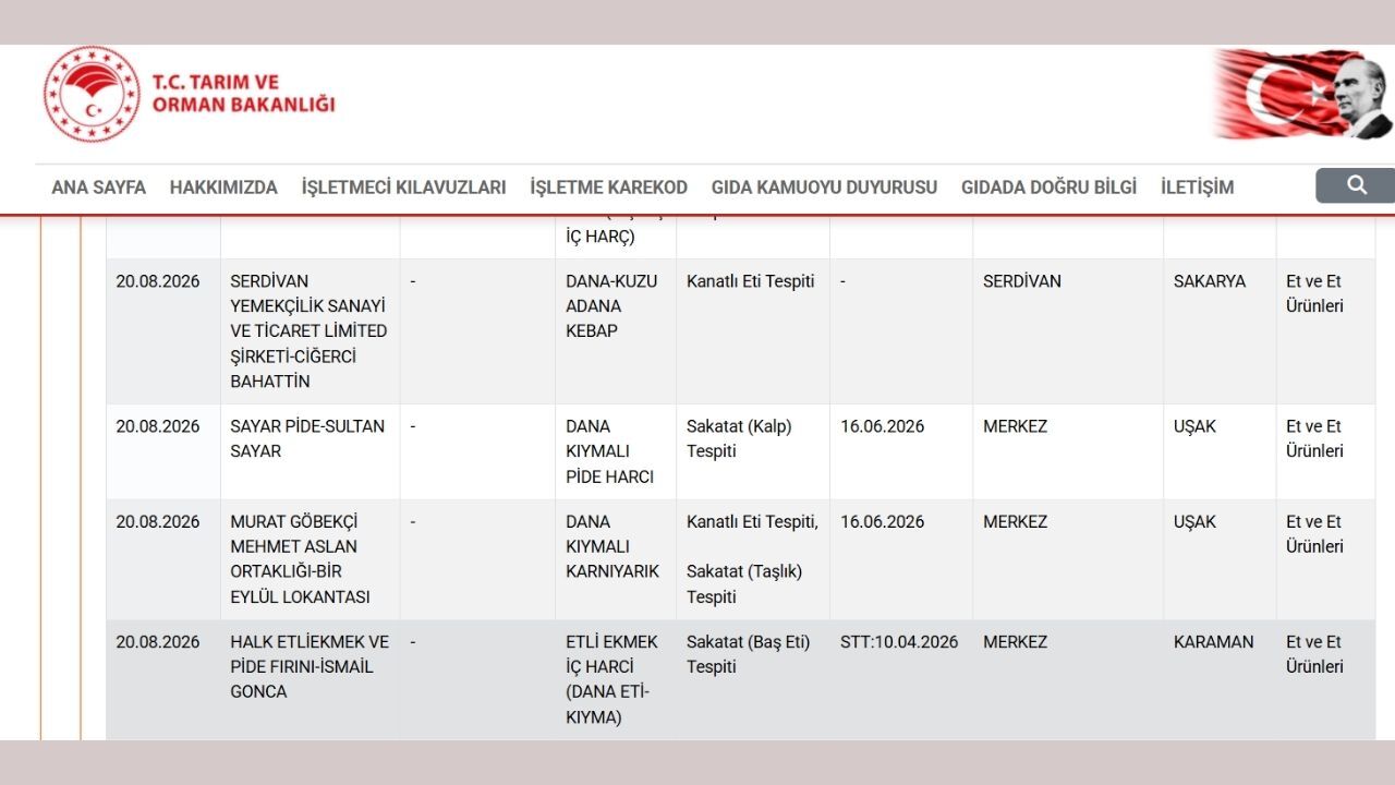 Sayarpide (1)