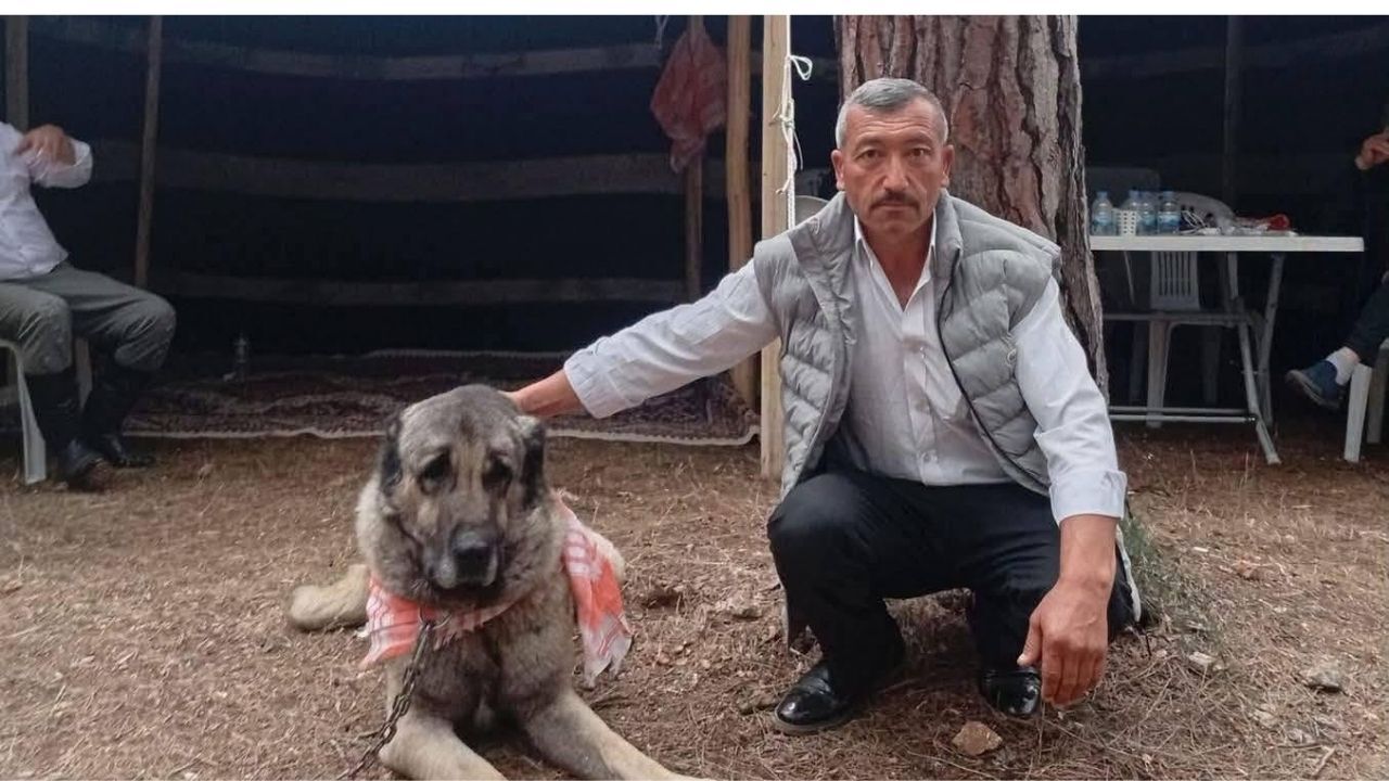 Yüürk