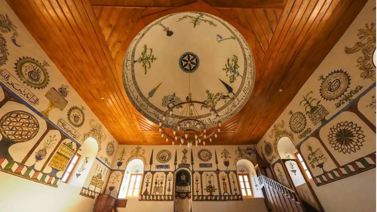 Cami-6