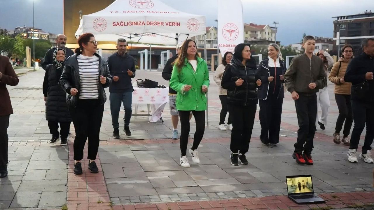 Hareketkapak (1)