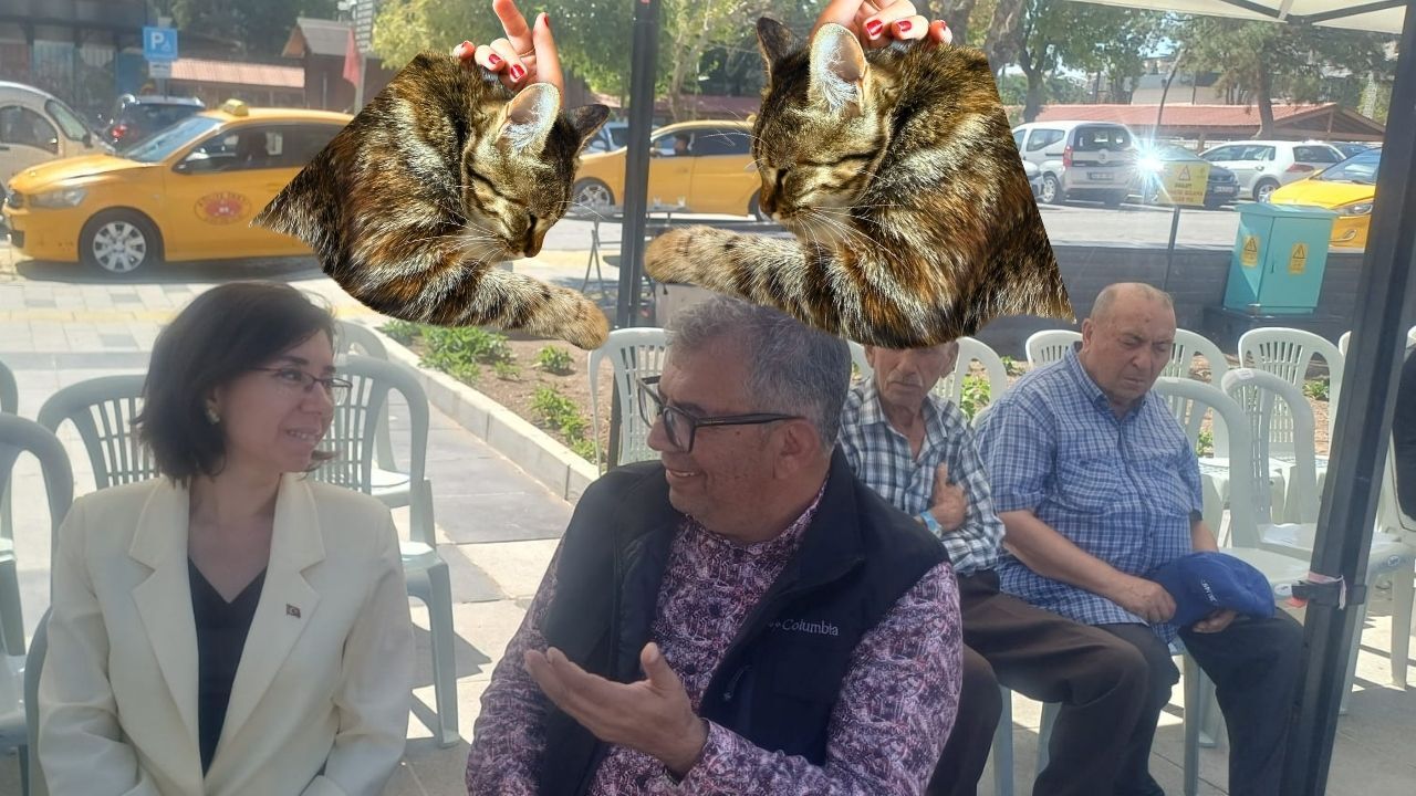 “Uşak’ın Sürgün (!) Kedisi Mia’daki Keyif Bey’de Yok”