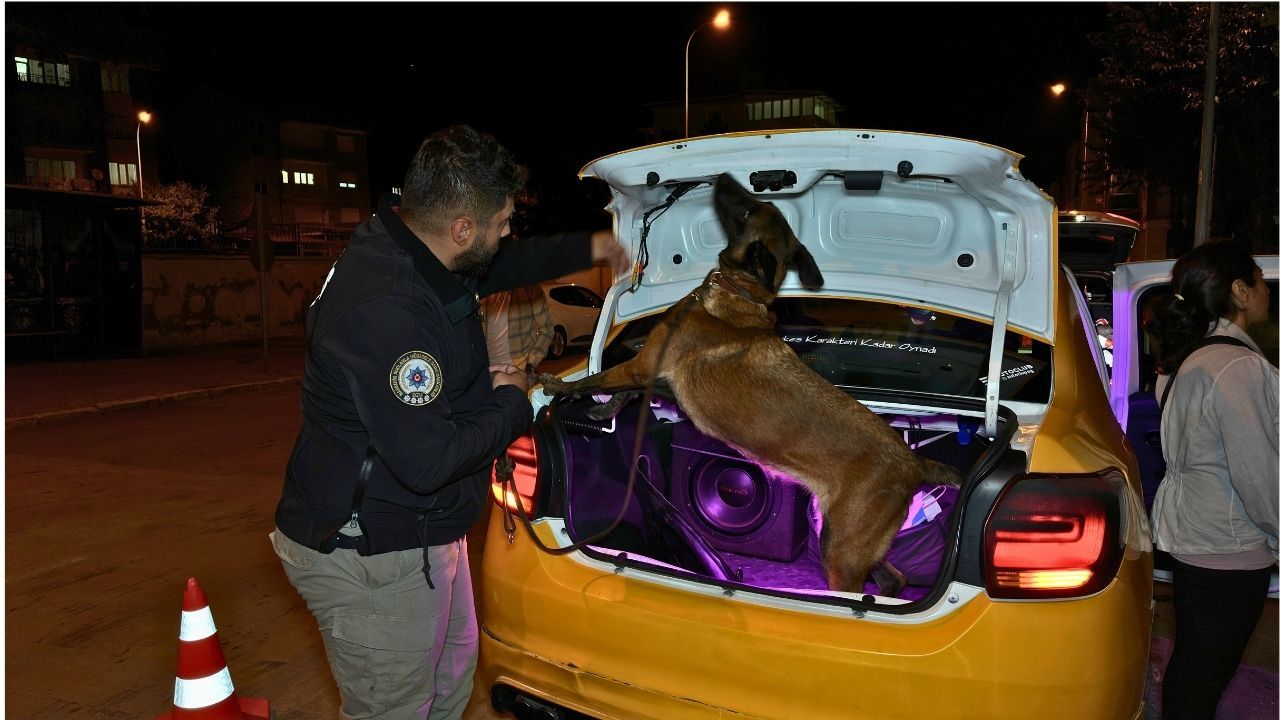 Operasyonköpek