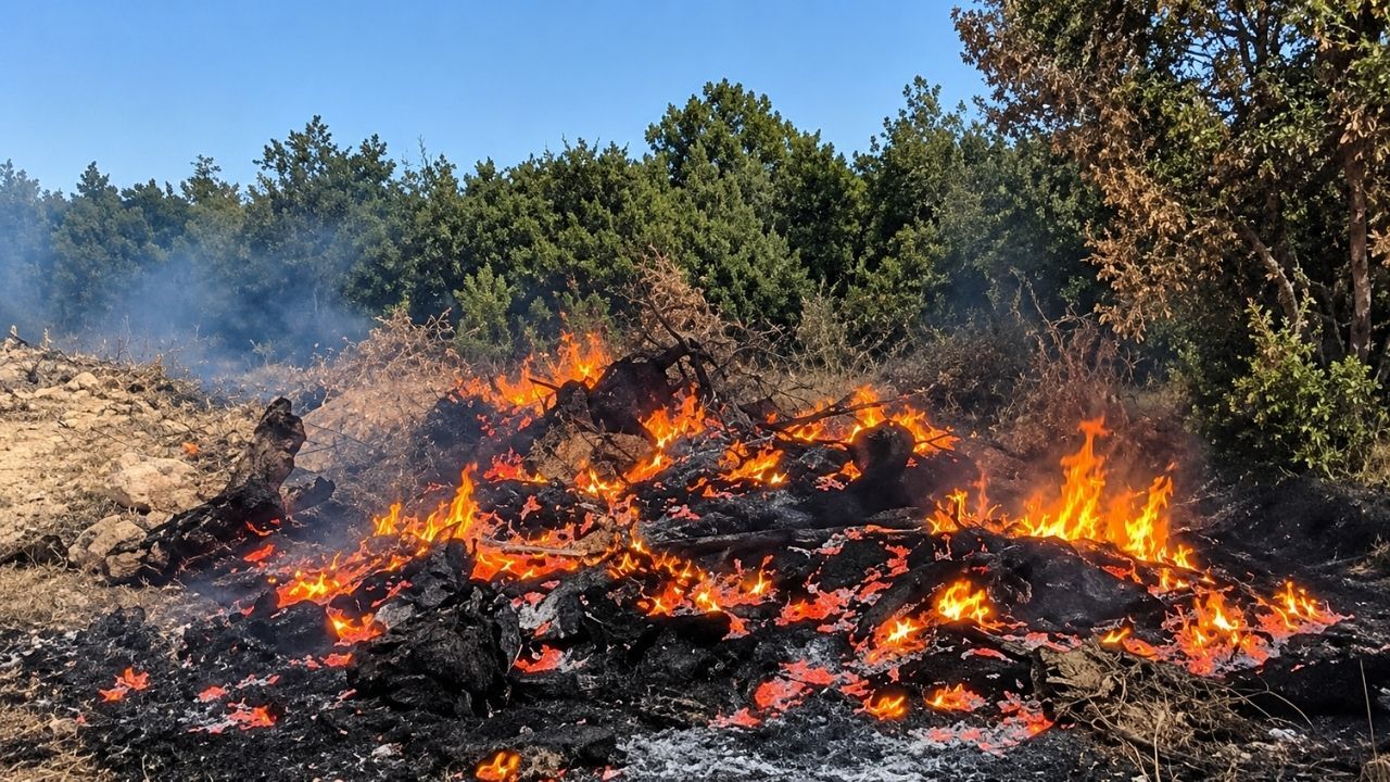 Uşak’ta Akbulak Köyünde Yangın