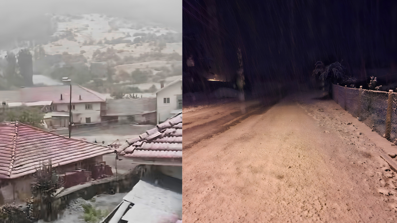 Kariç